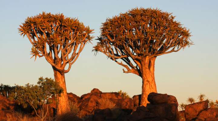 Keetmanshoop