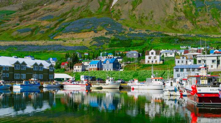 De haven in Siglufjordur