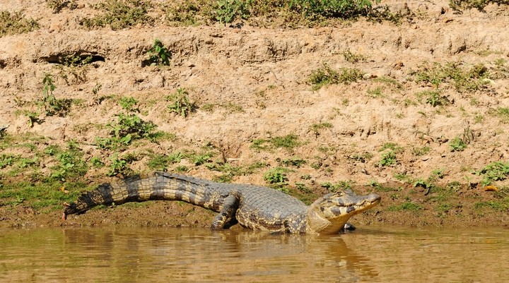 Municipal Zoo