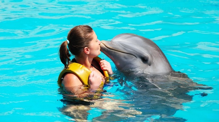 Mediterraneo Marine Park