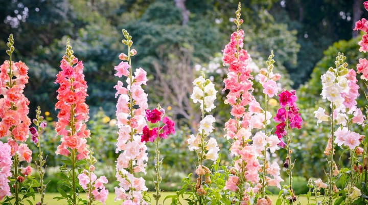 Botanischer Garten Rostock