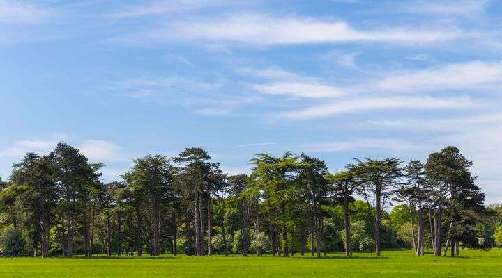 Phoenix Park