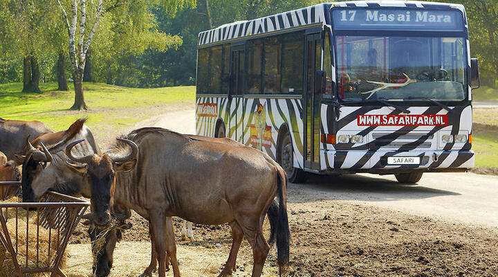 Safaripark Beekse Bergen