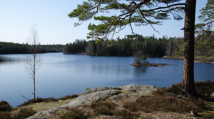 Landschap Zweedse provincie Småland