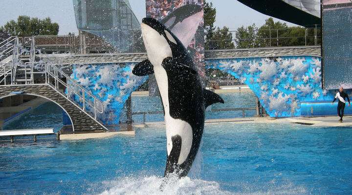 SeaWorld Orlando
