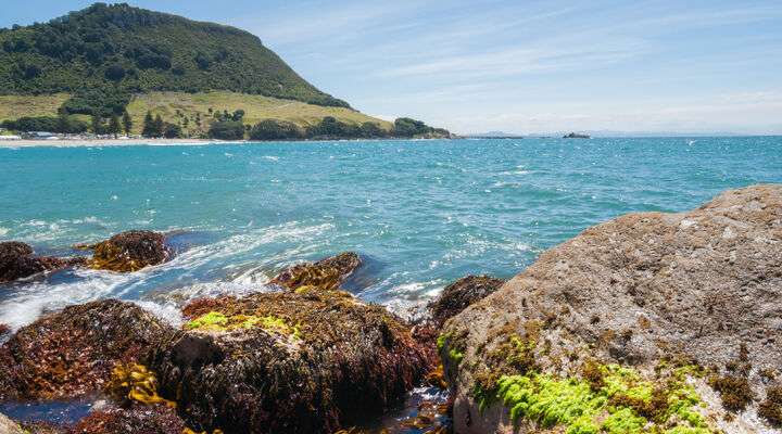 Mount Maunganui