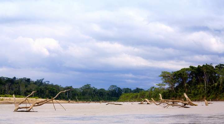 Nationaal Park Manú