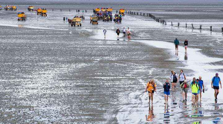 Nationale Park Hamburgisches Wattenmeer