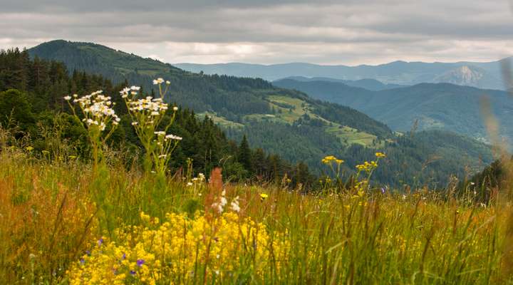 Belasitsa Nature Park