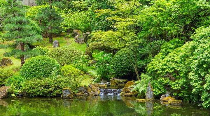 Orto Botanico