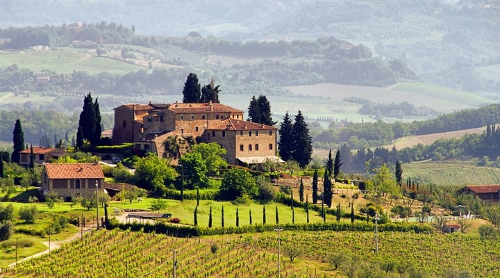 Wijngaard Toscane, Italië