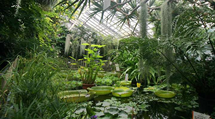 Botanische Tuin Jena
