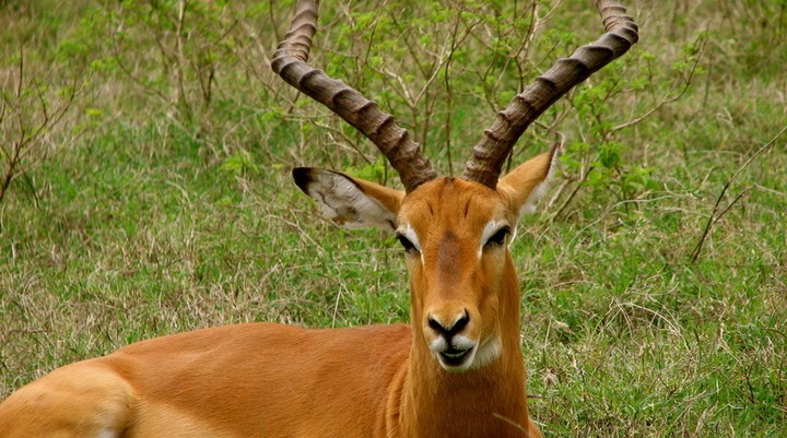 Keran National Park
