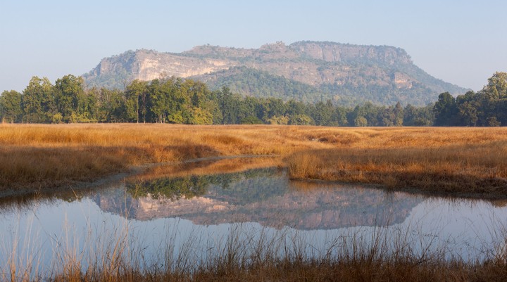 Tiger Hill