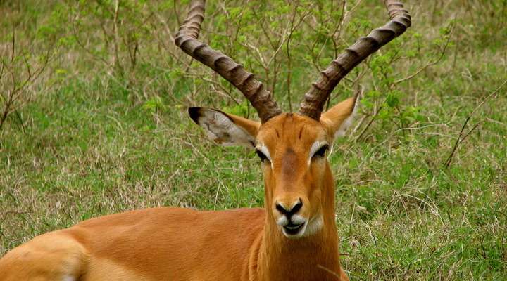 Keran National Park