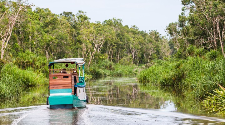 Tanjung Puting National Park