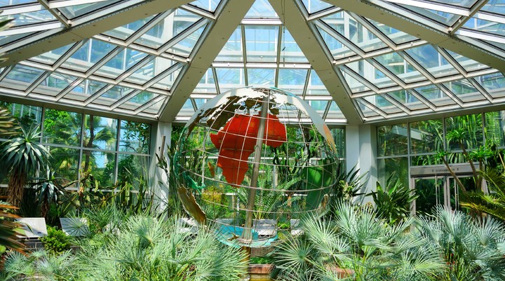 Palmengarten