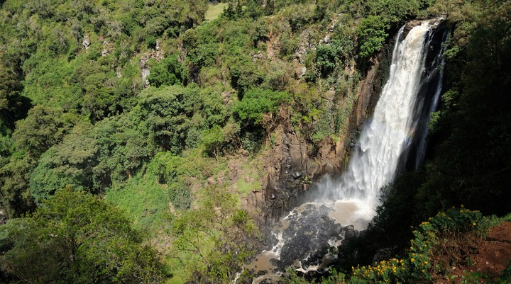 Aberdare National Park