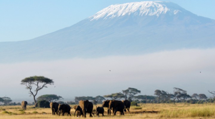 Kilimanjaro