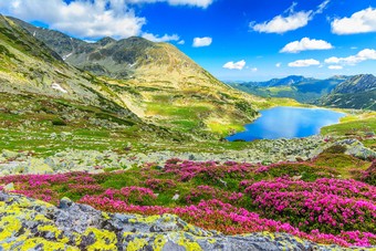 Reisadvies: Is Roemenië een veilig vakantieland?