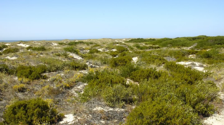 Natuurreservaat Dunas de São Jacinto