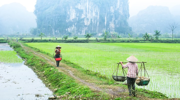 Landschap Vietnam