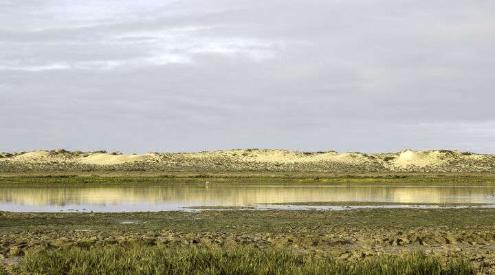 Desert Island