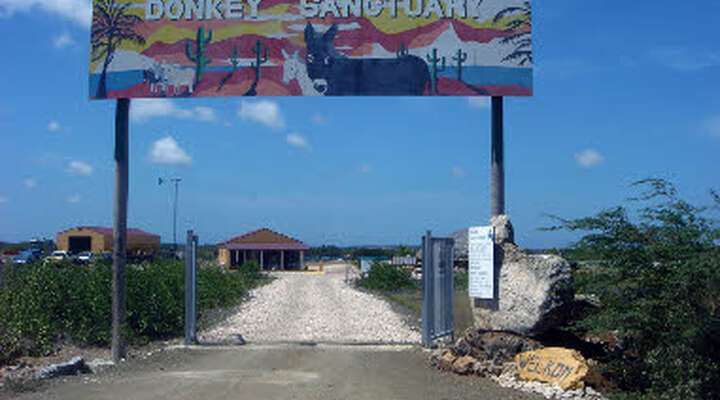 Donkey Sanctuary Bonaire