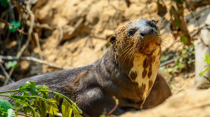 Aqua Zoo Friesland