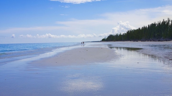 Gold Rock Beach