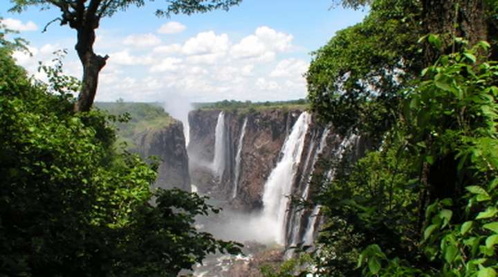 Livingstone