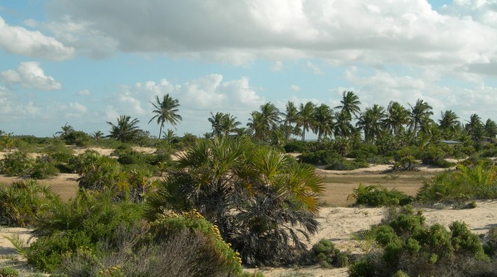 Limpopo Nationaal Park