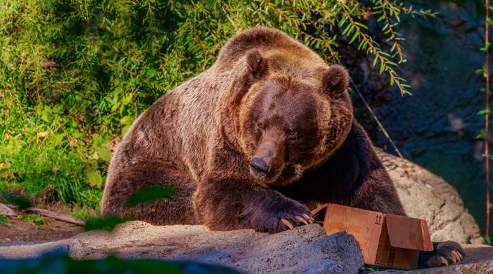 Woodland Park Zoo