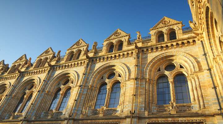 Natural History Museum Londen