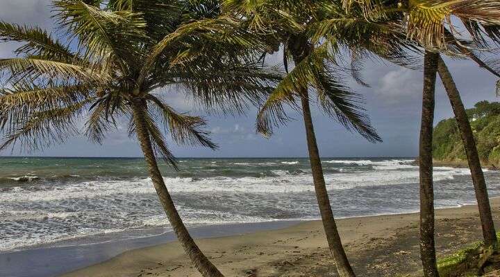 Strand Sainte-Marie, Martinique
