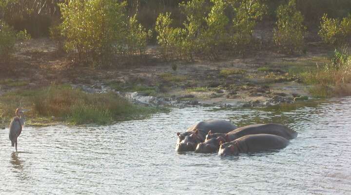 Kasungu National Park