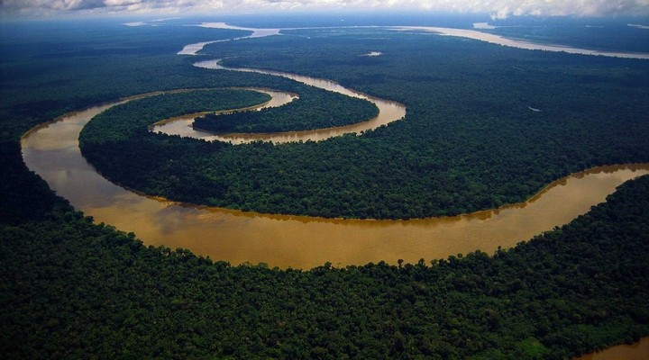 Het Amazone gebied