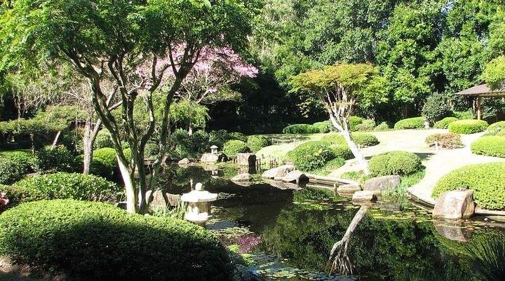 Mount Coot-tha