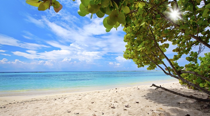 Prachtig strand op Aruba