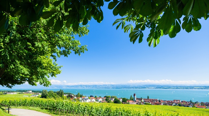 Bodensee met uitzicht op de Alpen