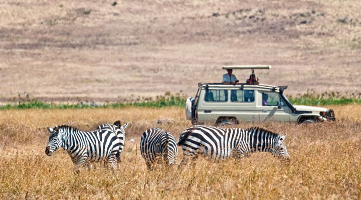Een safari in Kenia