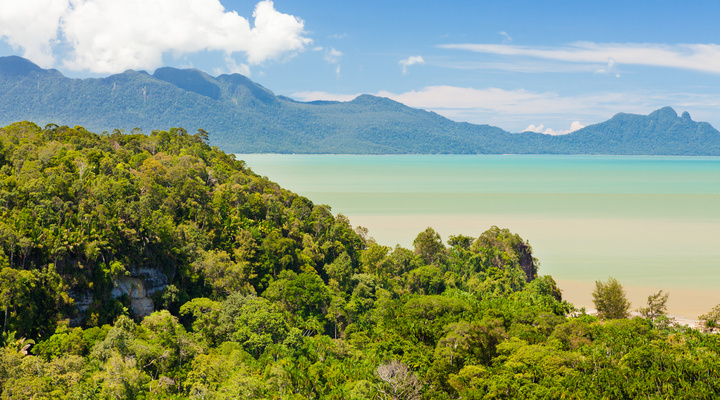 Het landschap van Maleisisch Borneo