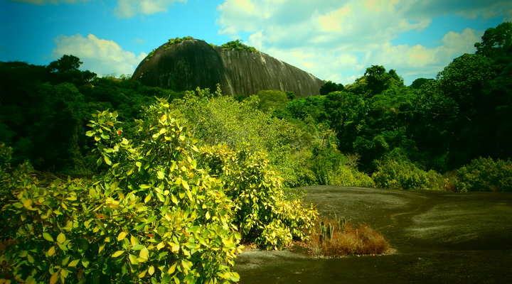 Suriname is o.a. geliefd om de prachtige natuur