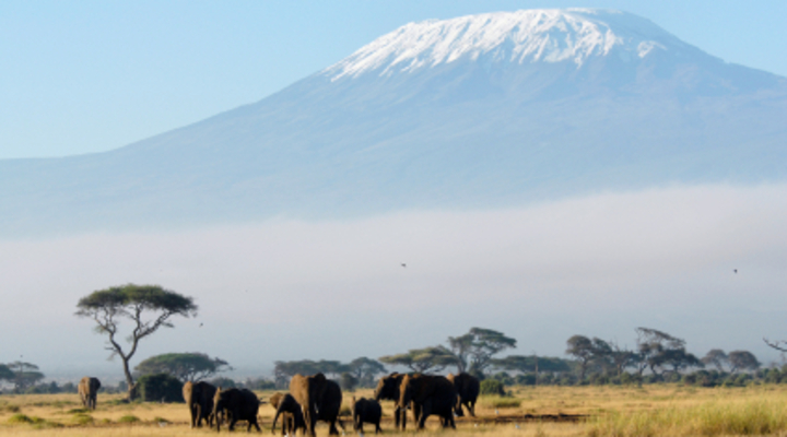 De kilimanjaro Tanzania