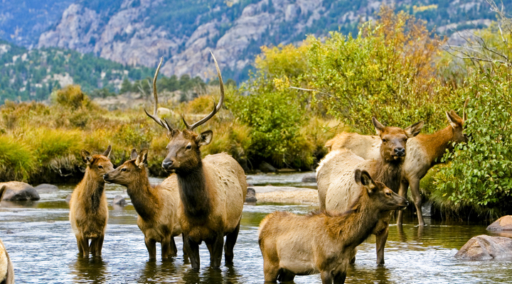 Rocky Mountain National Park