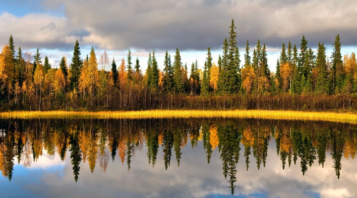 Herfstlandschap in het noorden van Zweden