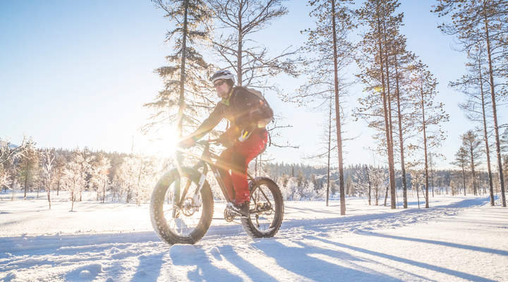 E-fatbike
